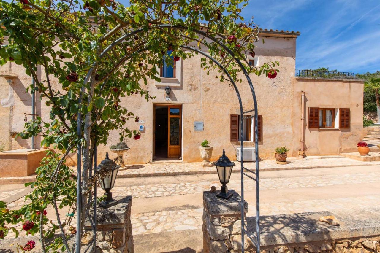 Villa Cavea