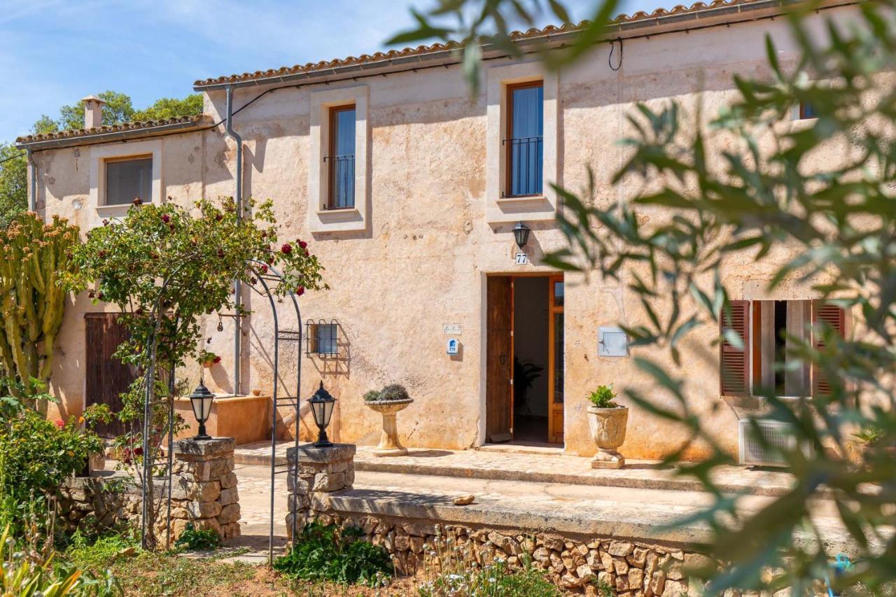 Villa Cavea