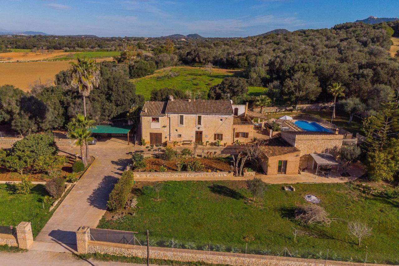 Villa Cavea *
