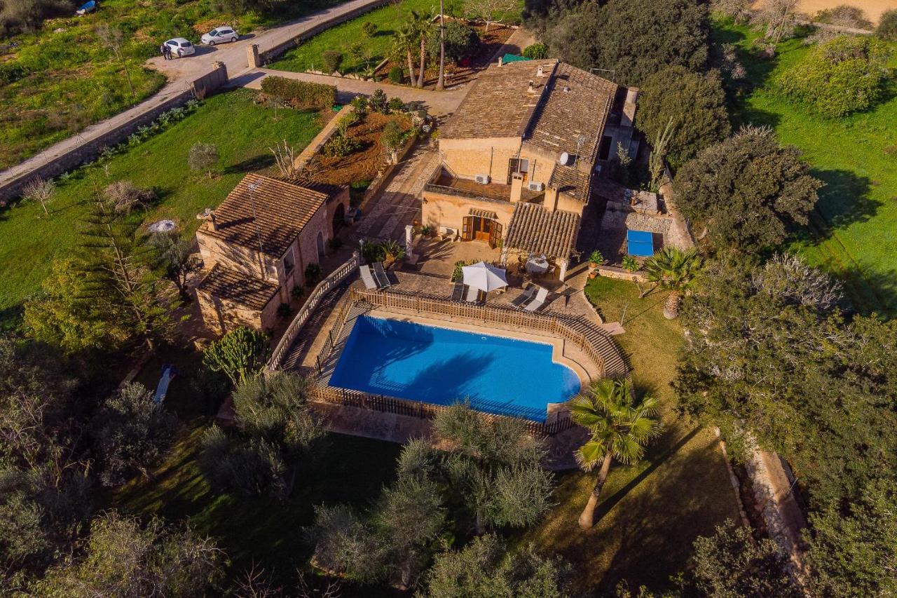 Villa Cavea *