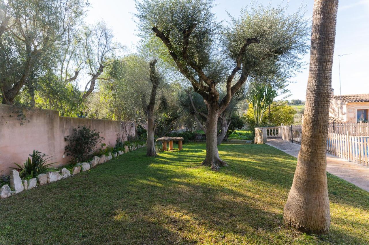 Villa Cavea