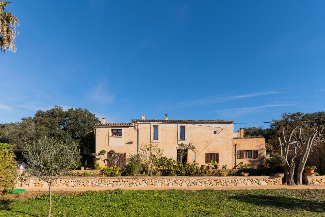 Villa Cavea *